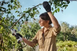 STIHL ASA 20 Batteridriven Sekatör utan batteri och laddare