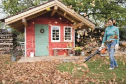 Stihl BG 56 Lövblås