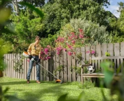 Stihl FSA 80 R Batteridriven Grästrimmer