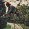 Stihl GTA 40 Batteridriven Grensåg