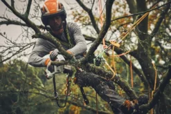 Stihl GTA 40 Kit Batteridriven Grensåg
