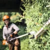 Stihl HLA 140 Batteridriven Stånghäcksax