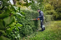 Stihl HSA 100 Batterihäcksax