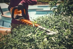 Stihl HSA 140 T Batterihäcksax