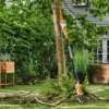 Stihl HTA 30 Batteridriven Stångsåg