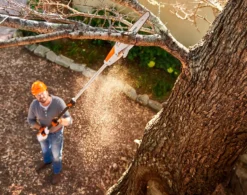 Stihl HTA 50 Stamkvistare
