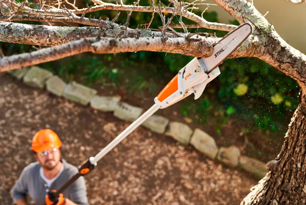 Stihl HTA 50 Stamkvistare Set