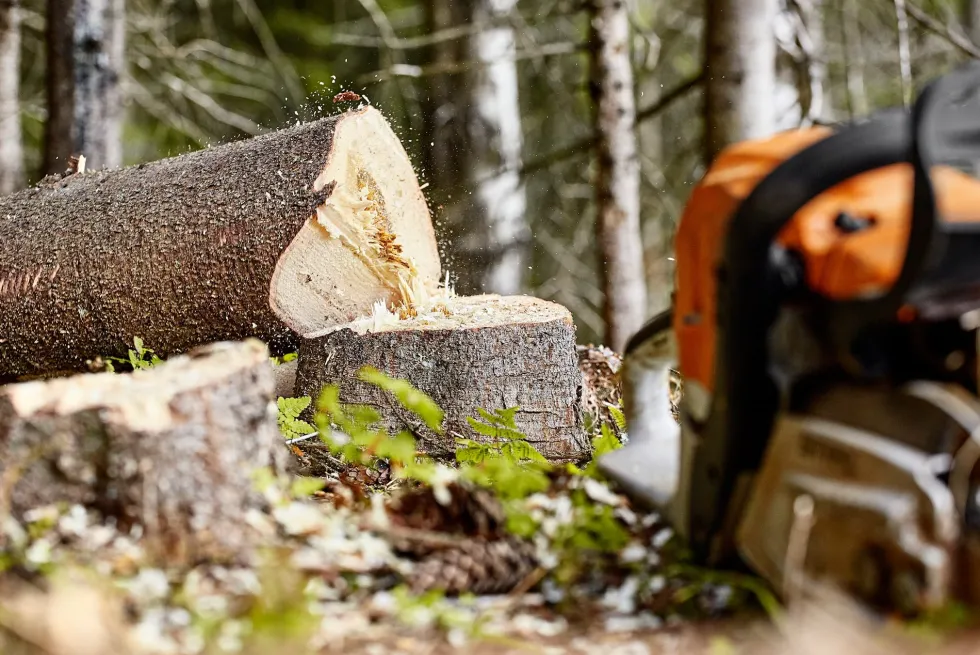 STIHL MS 261 C-M Motorsåg 16 tum / 40 cm