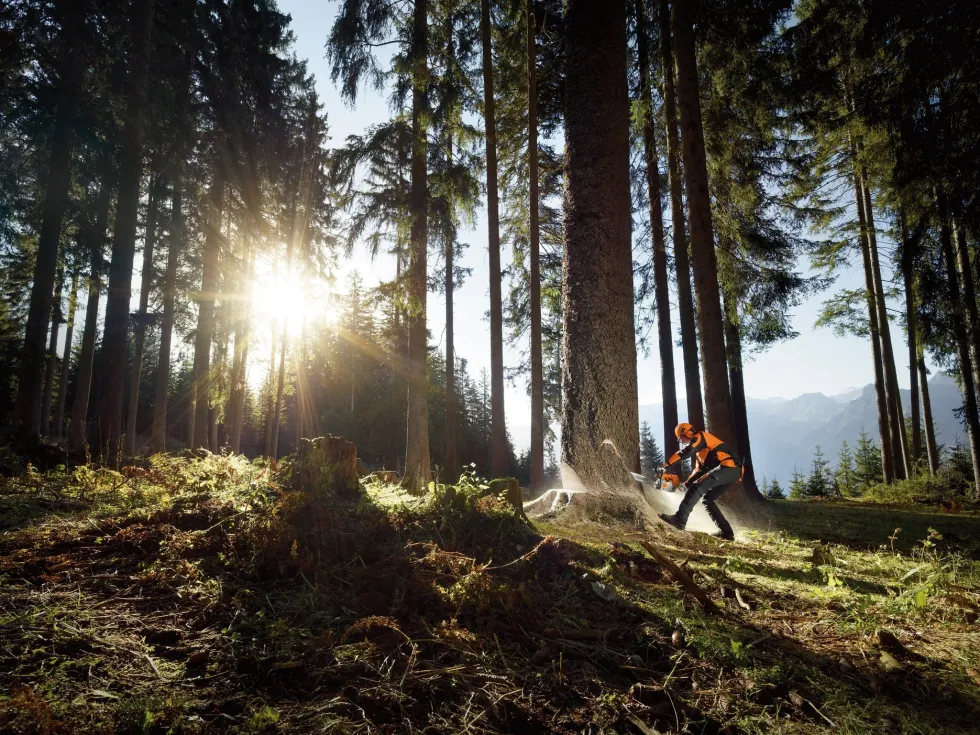 STIHL MS 661 C-M 3/8″P Motorsåg
