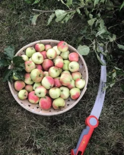 WOLF-Garten MS 370 Grensåg