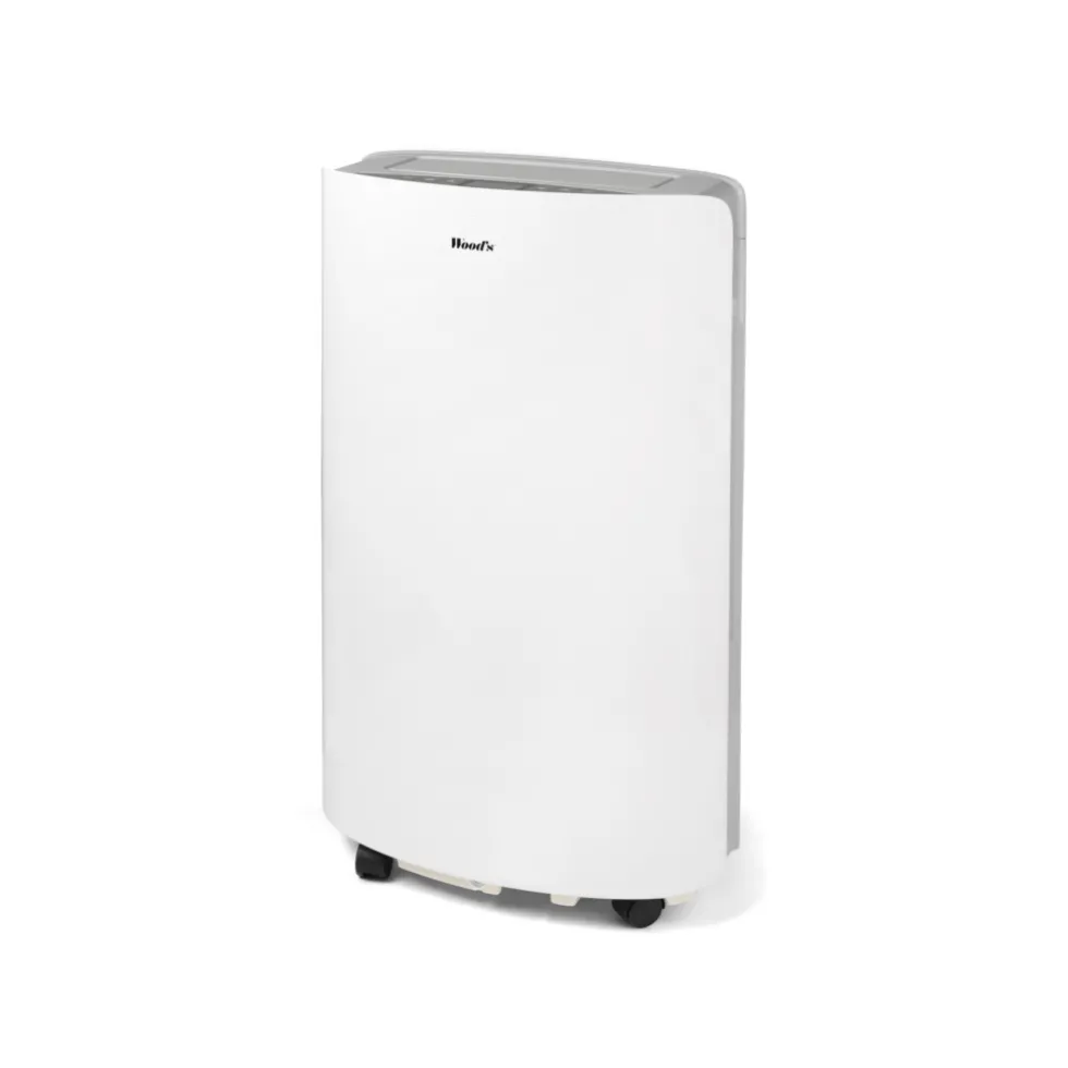 Woods AC Cortina Silent 12K WiFi